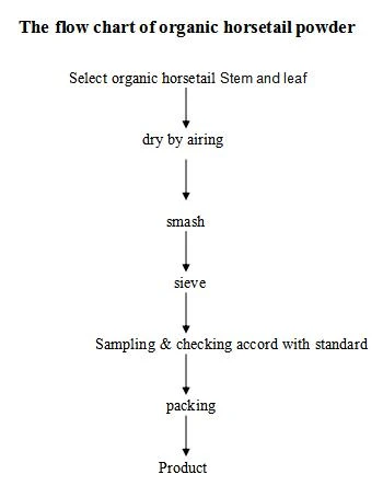 flow chart of Organic horsetail powder flow chart of Organic horsetail powder