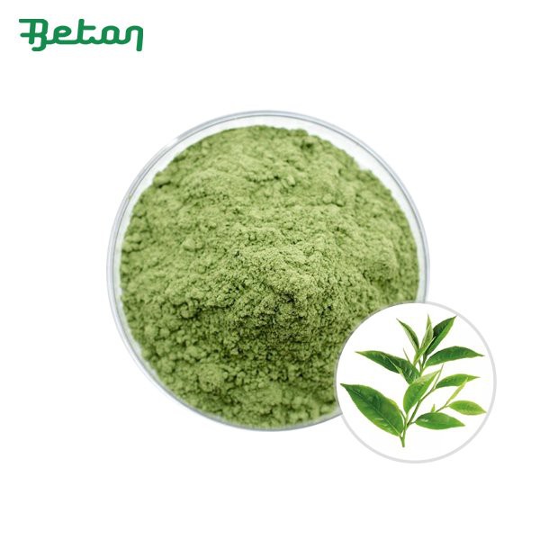 Organic Matcha Powder Bulk