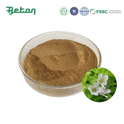 Extracto de Bacopa Monnieri 20%